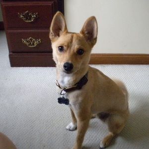 Meet your Posher, Mary